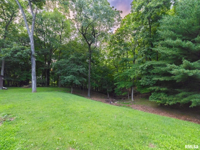 1362 N Forrest Dr, Germantown Hills, IL 61548 - photo 56