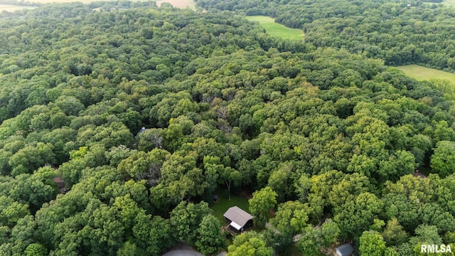 1362 N Forrest Dr, Germantown Hills, IL 61548 - photo 8