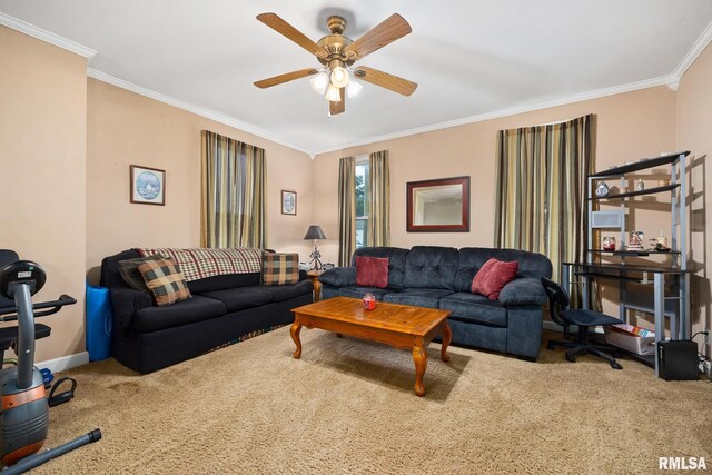 116 S Elm St, Williamsfield, IL 61489 - photo 19