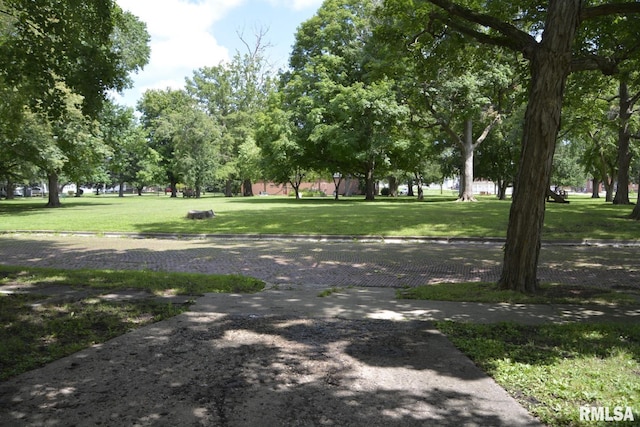 425 N Jackson St, Bushnell, IL 61422 - photo 4