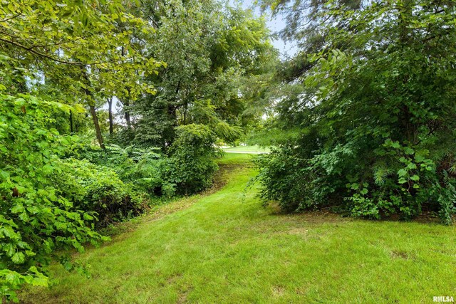 12 Crystal Ct, Morton, IL 61550 - photo 58
