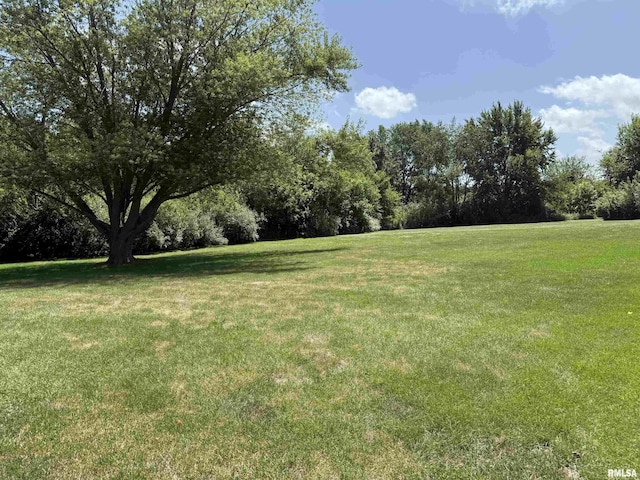 5810 N Old Hickory Ln Unit 5810, Peoria, IL 61615 - photo 39
