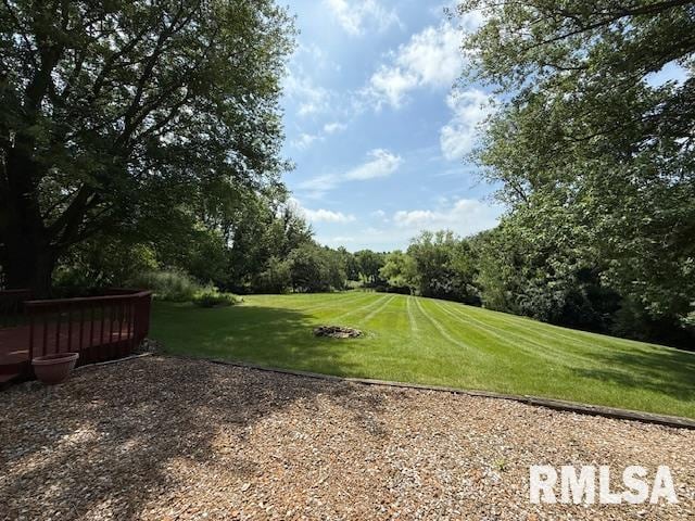 11 Marty Ln, Macomb, IL 61455 - photo 43