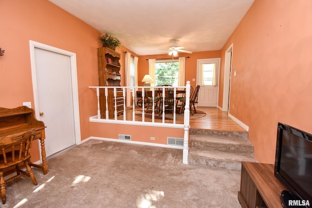 5004 N Circle Ct, Peoria, IL 61614 - photo 19