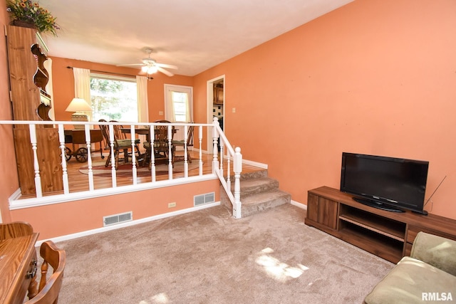 5004 N Circle Ct, Peoria, IL 61614 - photo 20