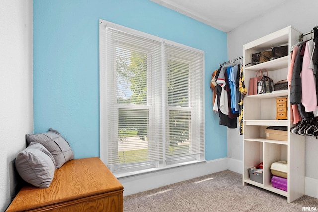 1446 N 4th St, Chillicothe, IL 61523 - photo 24