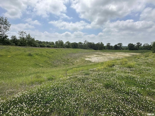 0 N Kickapoo Edwards Rd, Edwards, IL 61528 - photo 15