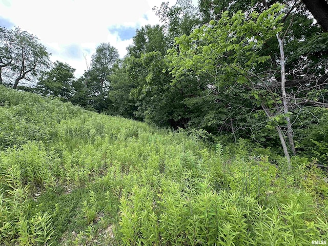 0 N Kickapoo Edwards Rd, Edwards, IL 61528 - photo 18