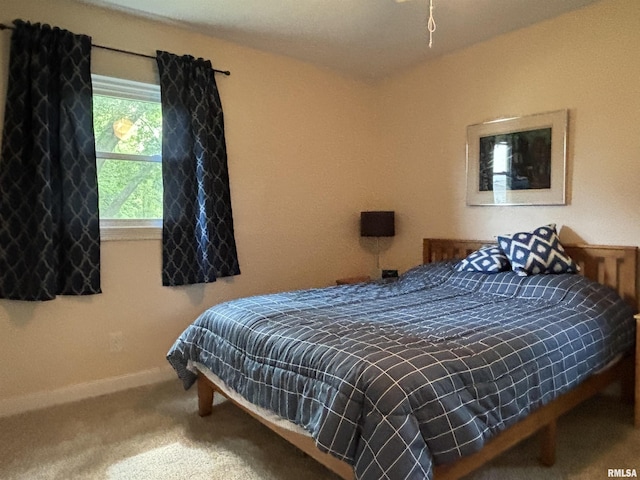 1226 2nd St, Lacon, IL 61540 - photo 19