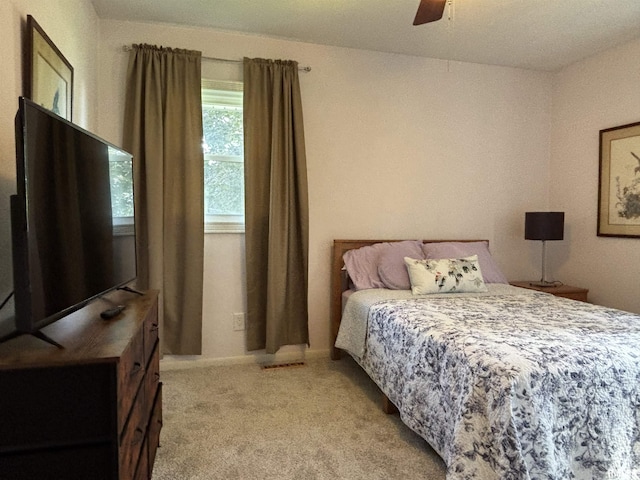 1226 2nd St, Lacon, IL 61540 - photo 27