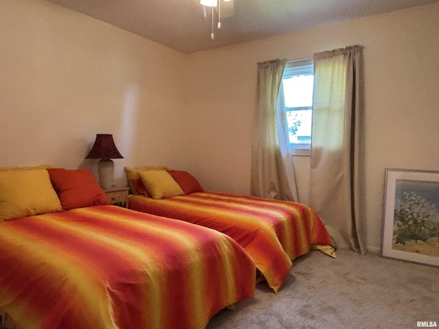 1226 2nd St, Lacon, IL 61540 - photo 29