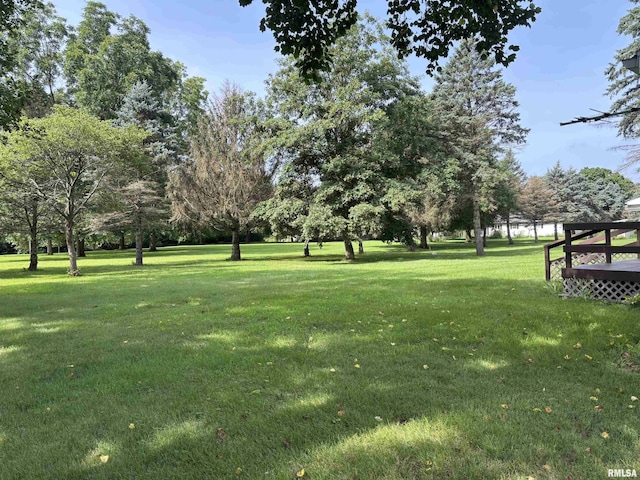 1226 2nd St, Lacon, IL 61540 - photo 44