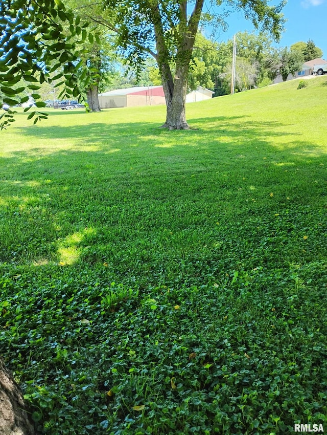 351 S Ave D Ave Unit D, Canton, IL 61520 - photo 1