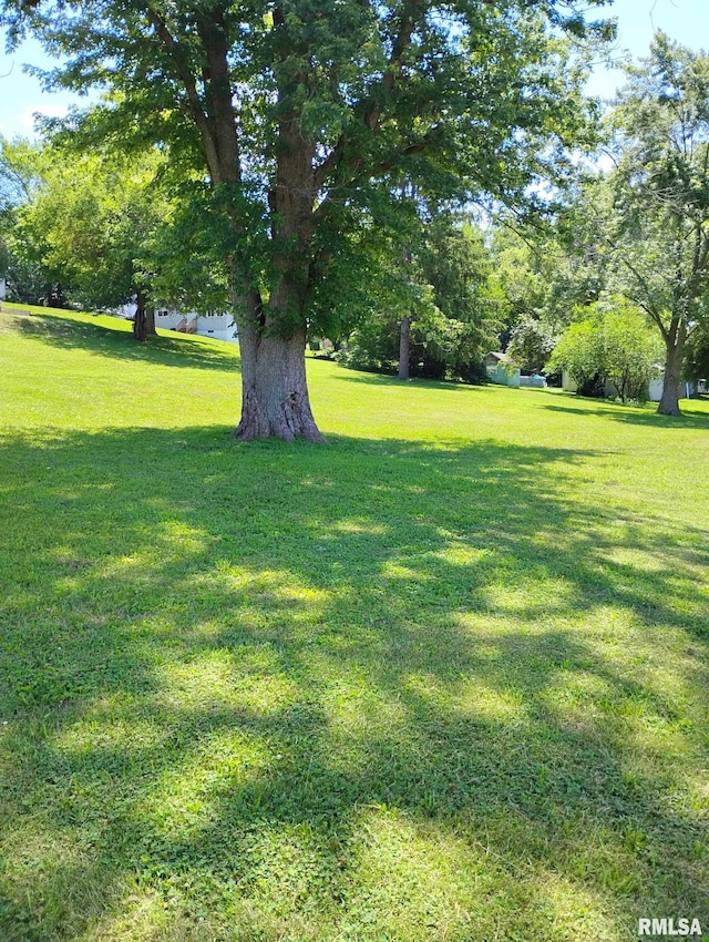 351 S Ave D Ave Unit D, Canton, IL 61520 - photo 2