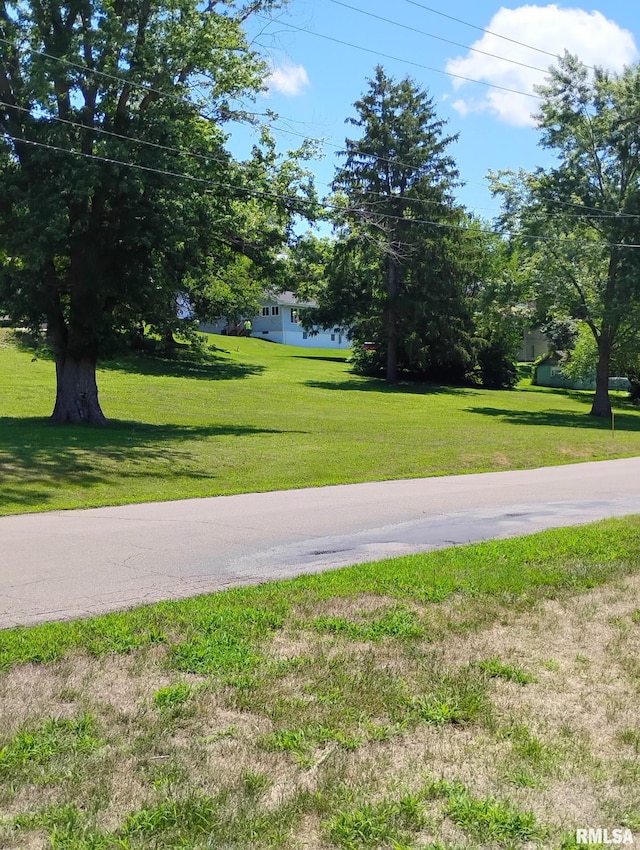 351 S Ave D Ave Unit D, Canton, IL 61520 - photo 4