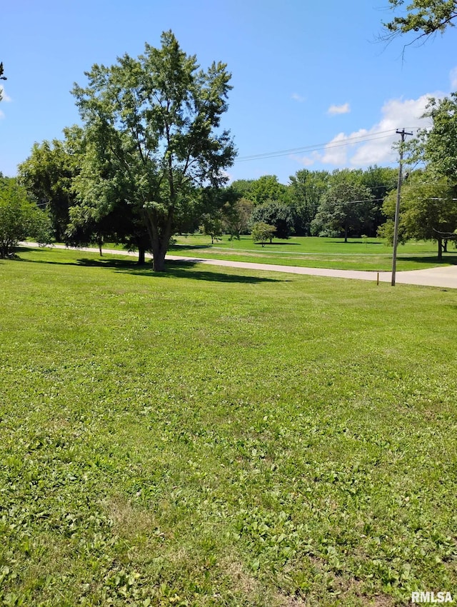 351 S Ave D Ave Unit D, Canton, IL 61520 - photo 5