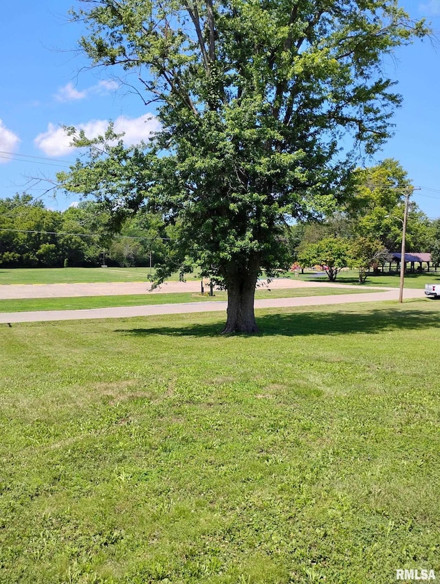 351 S Ave D Ave Unit D, Canton, IL 61520 - photo 6