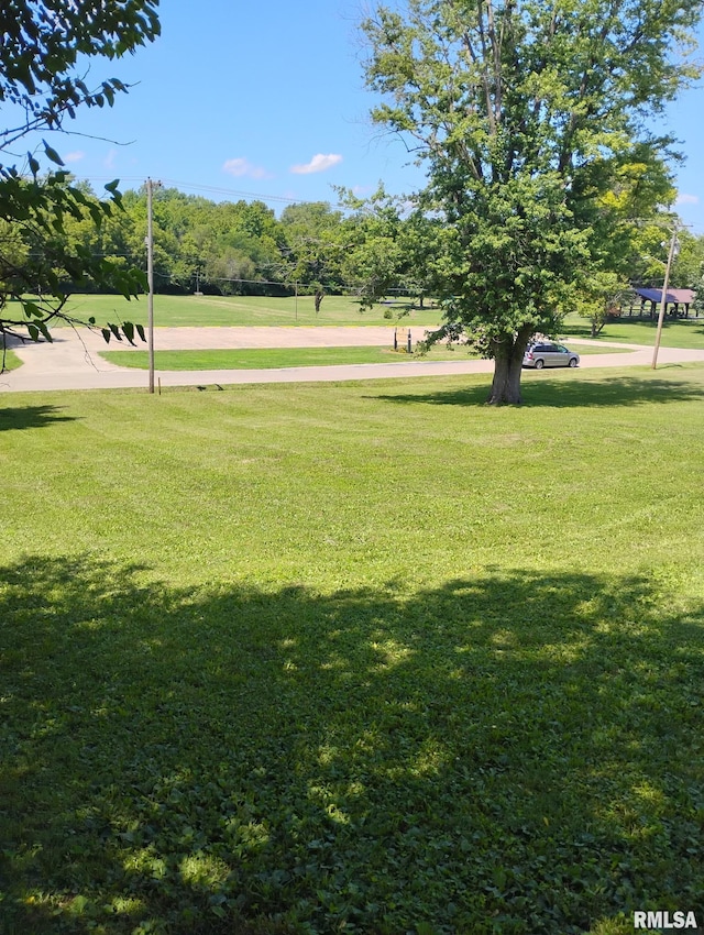351 S Ave D Ave Unit D, Canton, IL 61520 - photo 7