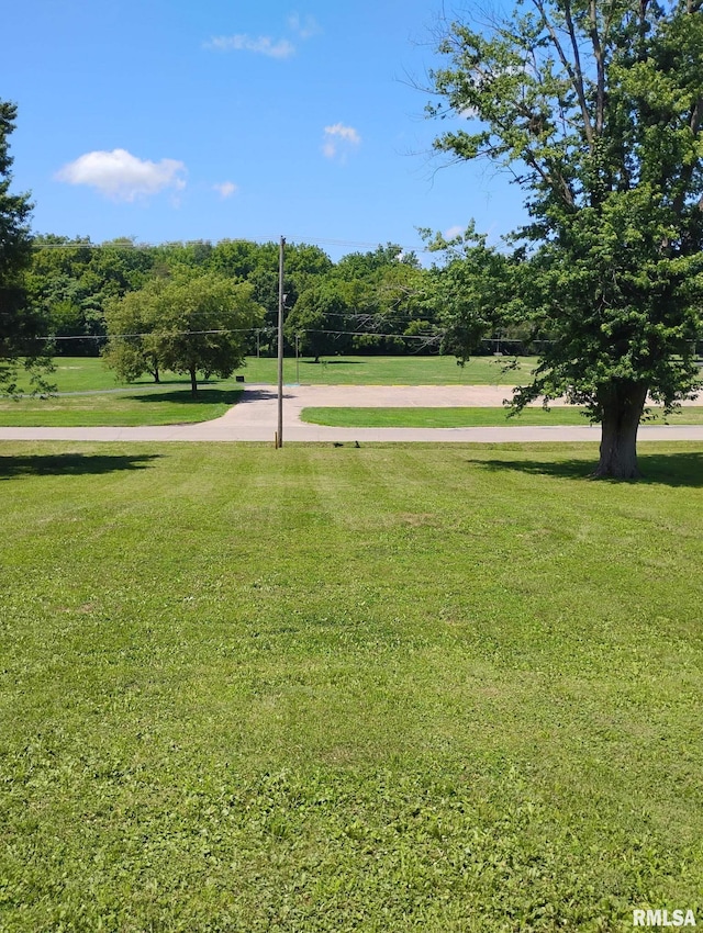 351 S Ave D Ave Unit D, Canton, IL 61520 - photo 8