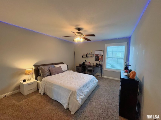 6210 W Clairemont Ct, Edwards, IL 61528 - photo 33