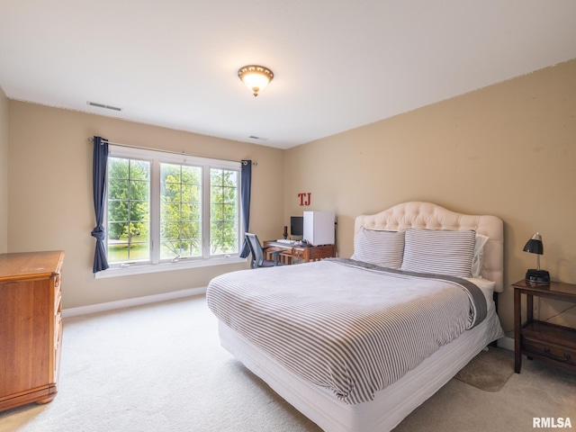 1205 W Poplar Woods Ct, Dunlap, IL 61525 - photo 27