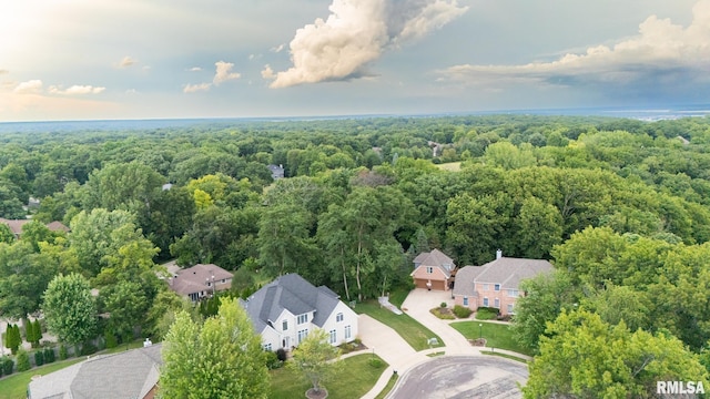 1205 W Poplar Woods Ct, Dunlap, IL 61525 - photo 5