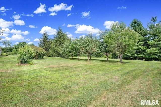 8214 W Maple Ridge Rd, Peoria, IL 61607 - photo 36