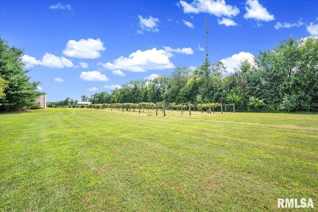 8214 W Maple Ridge Rd, Peoria, IL 61607 - photo 40