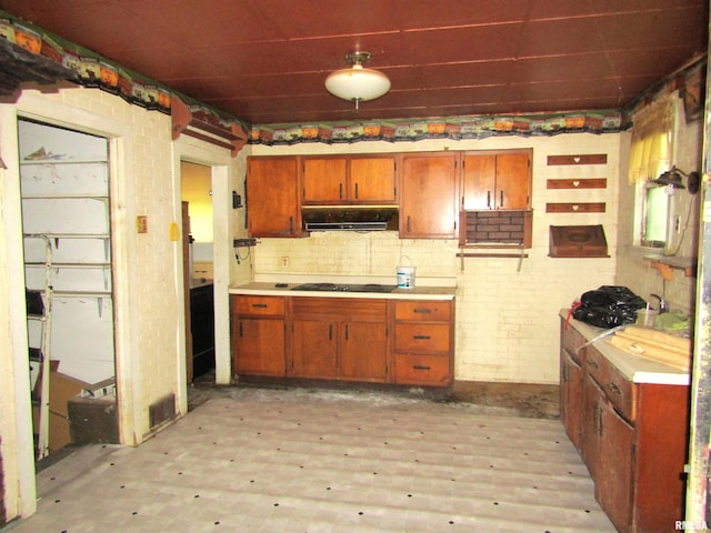 21501 N Il Highway 97 Unit Il 97High, Cuba, IL 61427 - photo 19