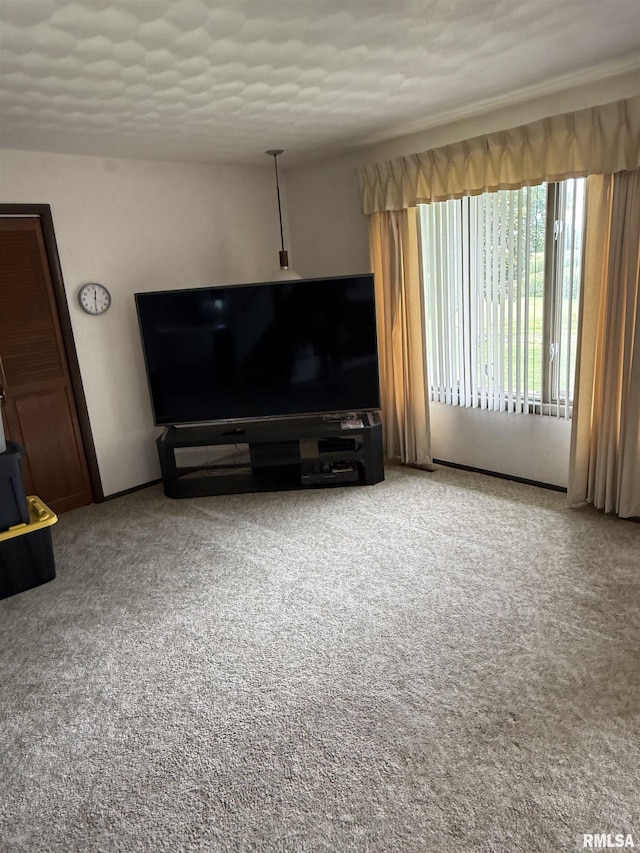8323 E Briney Rd, Ipava, IL 61441 - photo 21