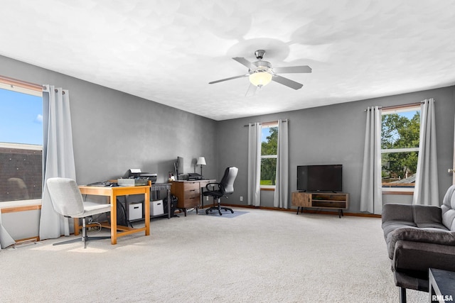 117 Cherry Ln, Washington, IL 61571 - photo 21