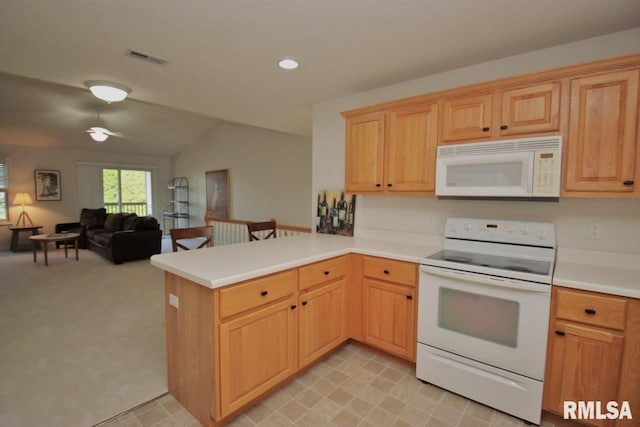 916 W Trailcreek Dr Unit 916, Peoria, IL 61614 - photo 21