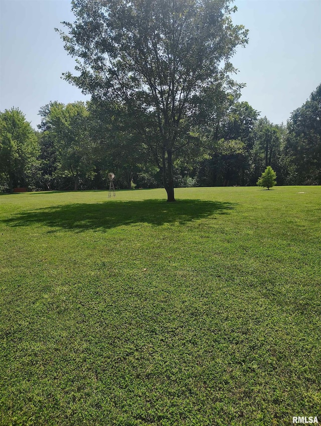 21401 N Il Highway 97, Cuba, IL 61427 - photo 38