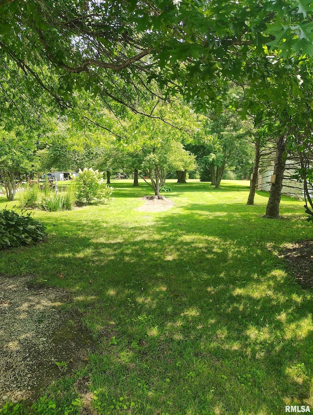 21401 N Il Highway 97, Cuba, IL 61427 - photo 8