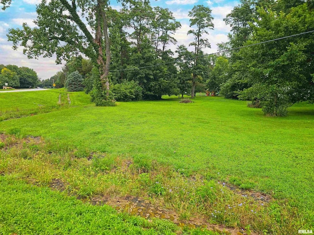 1806 W Cedar Hills Dr, Dunlap, IL 61525 - photo 2