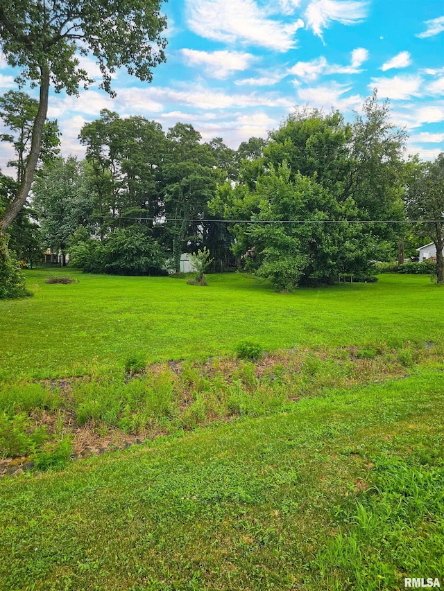 1806 W Cedar Hills Dr, Dunlap, IL 61525 - photo 16