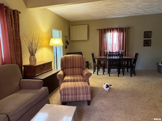 898 E Elm St, Canton, IL 61520 - photo 11