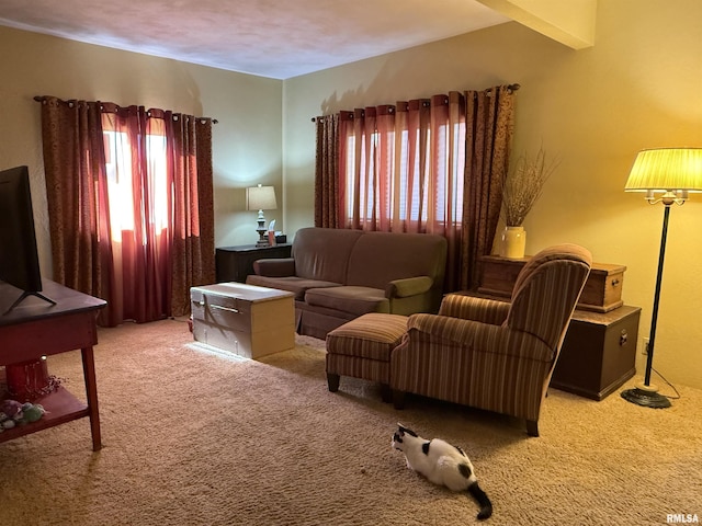 898 E Elm St, Canton, IL 61520 - photo 10