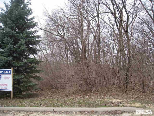 3705 35th St, Moline, IL 61265 - photo 3