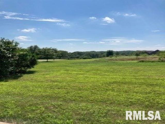 3905 229th Street Cir N, Port Byron IL, 61275 land for sale