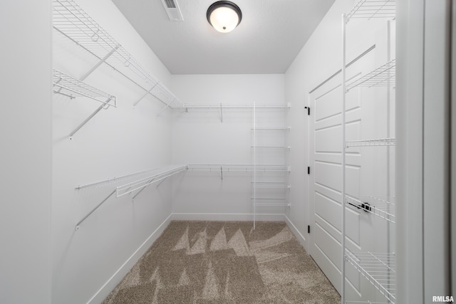 walk in closet featuring carpet floors