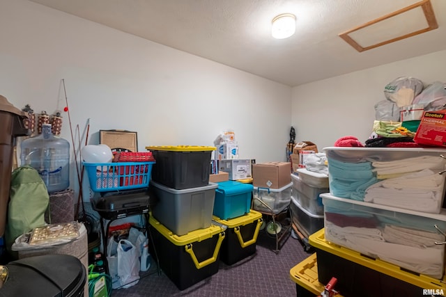 view of storage room