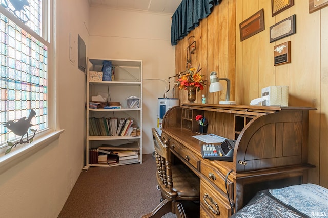 office space featuring wooden walls and dark colored carpet