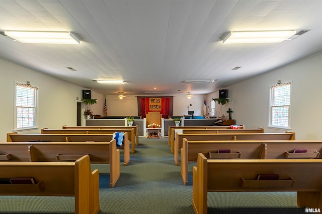 recreation room with dark carpet