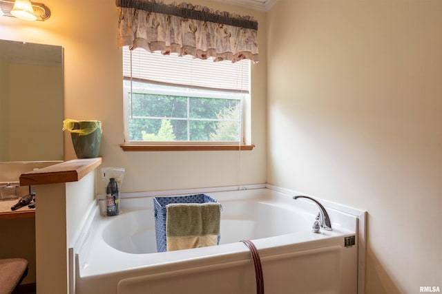 bathroom featuring a bathtub