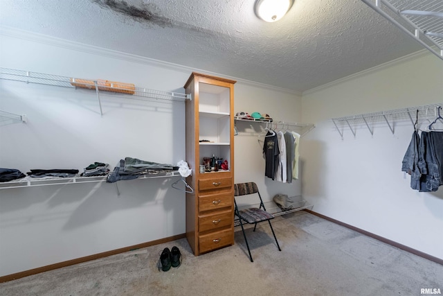 spacious closet with light carpet