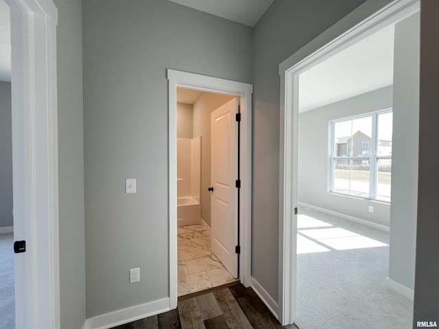 corridor featuring hardwood / wood-style flooring