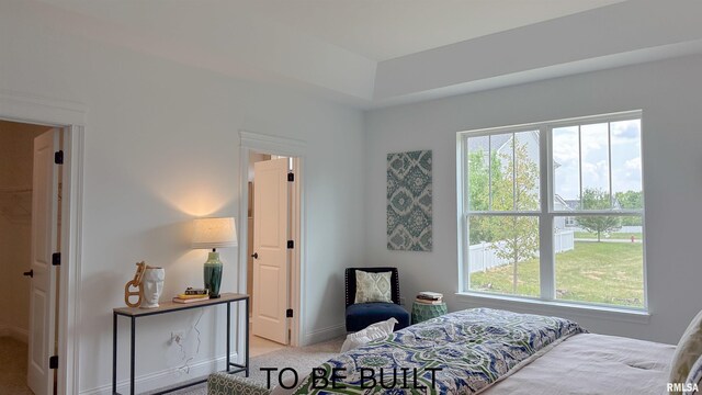 bedroom with multiple windows and light carpet