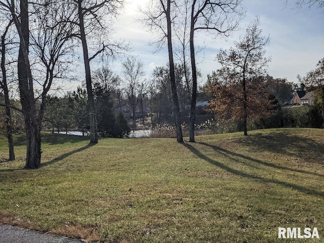 69 David Livingstone Dr, Carterville IL, 62918 land for sale