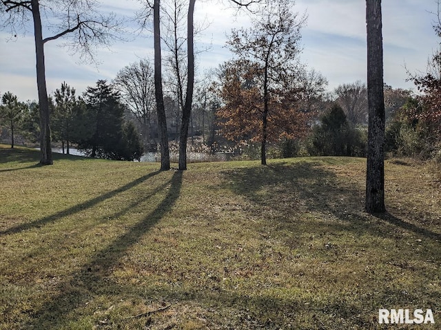 Listing photo 2 for 69 David Livingstone Dr, Carterville IL 62918